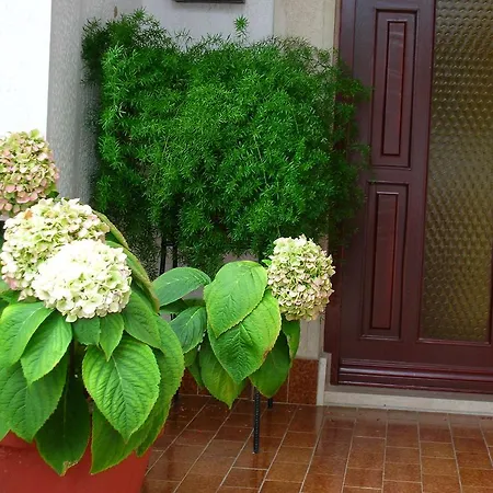 P&z Apartman Rab Town